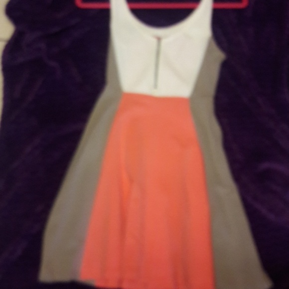 Designer:EXPRESS SKATER DRESS - Picture 3 of 3